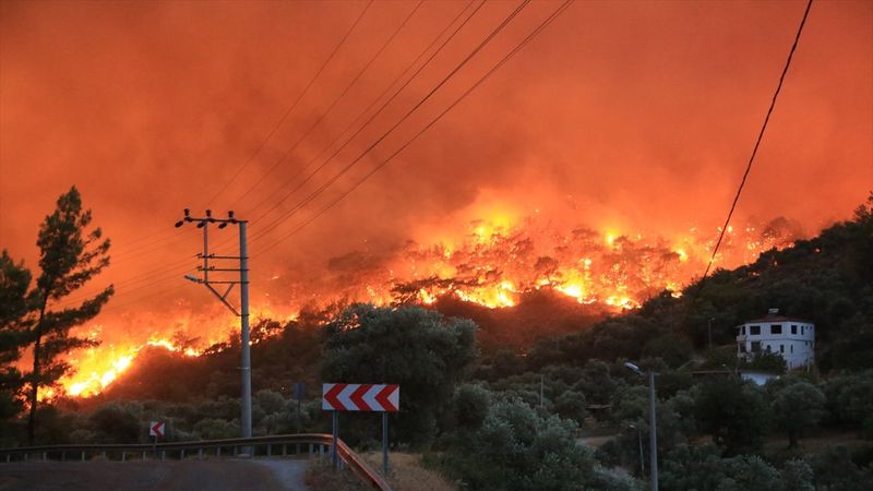 32 il 119 noktada çıkan yangının 112'si söndürüldü