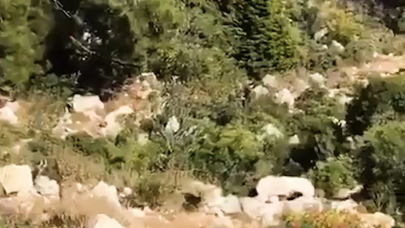 Silifke'de çıkan yangından hayvanların kaçışı