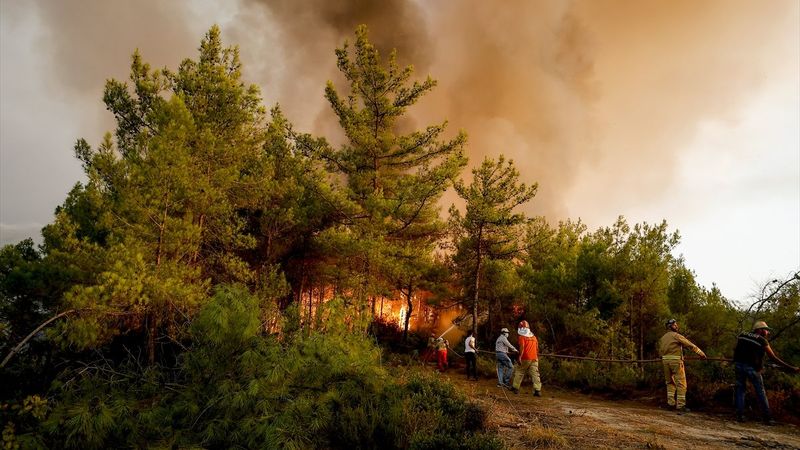 Mehmet Nuri Ersoy: Yanan arazilerin yapılaşmaya tahsisi mümkün değil