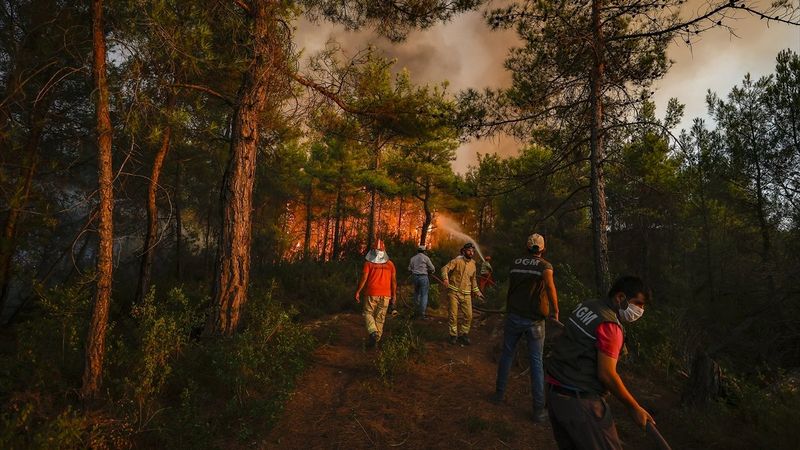 Türkiye'de orman yangınlarının devam ettiği bölgeler