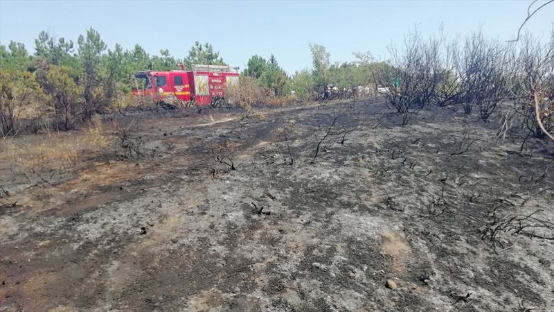 Zonguldak'ta ormanlık alanda çıkan yangın söndürüldü