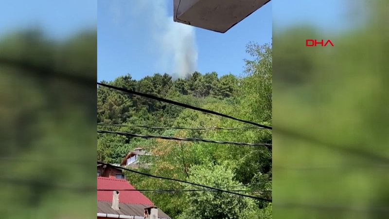 Beykoz'da orman yangını