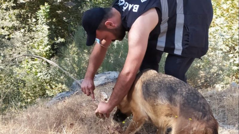 Antalya'da yangın görevlisi, yemeğini köpekle paylaştı