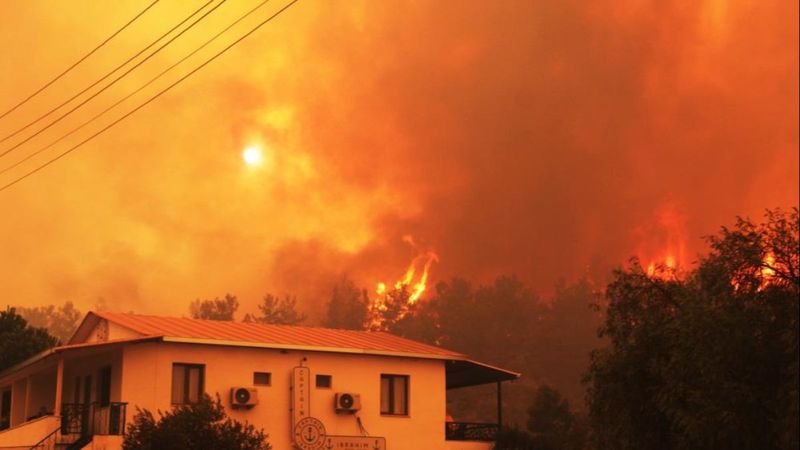 Muğla'da 40 bin hektarlık alan yangından zarar gördü