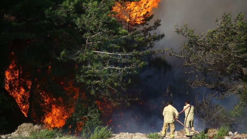 Türkiye'de orman yangınlarının 8'inci gününde son durum
