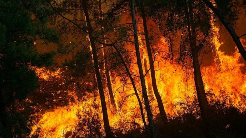 Orman yangınları 5 Ağustos 2021: Söndürülen ve devam eden yangınlar