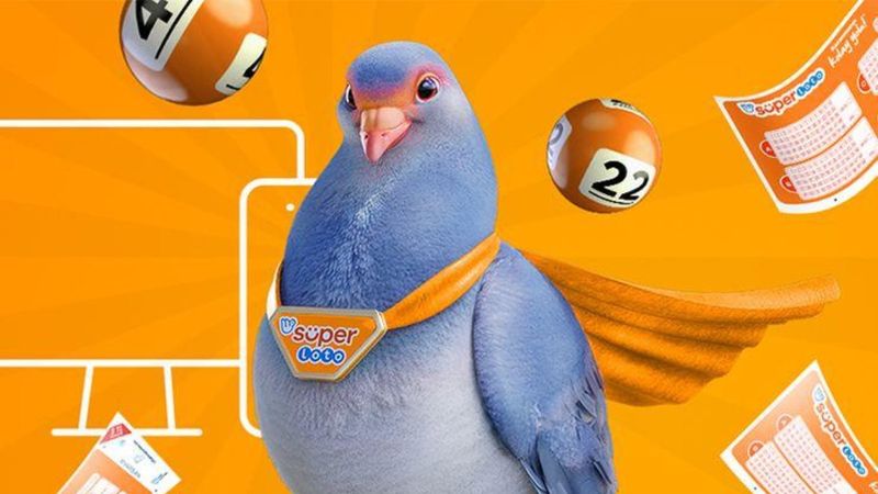 MPİ 5 Ağustos 2021 Süper Loto sonuçları: Süper Loto bilet sorgulama ekranı