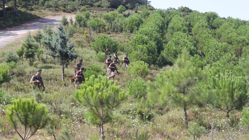 İstanbul’un ormanlarında havadan ve karadan denetim