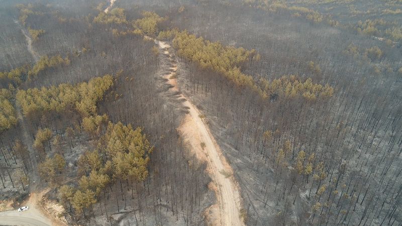 Muğla’da yanan ormanlık bölge havadan görüntülendi
