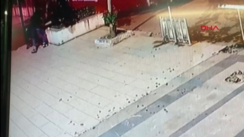 Üsküdar'da kediyi tekmeledikten sonra öldüren şahıs yakalandı