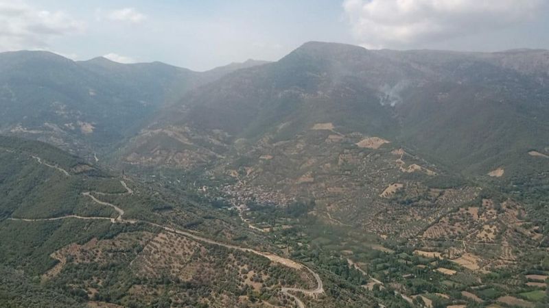 İzmir'de orman yangını çıktı