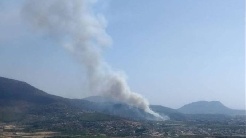 Dalaman'da orman yangını çıktı