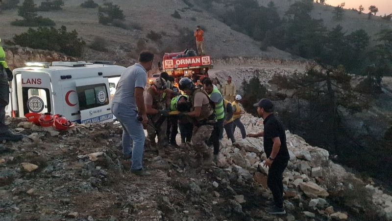 Muğla'daki yangında yanan ağaç devrildi: 2 yaralı