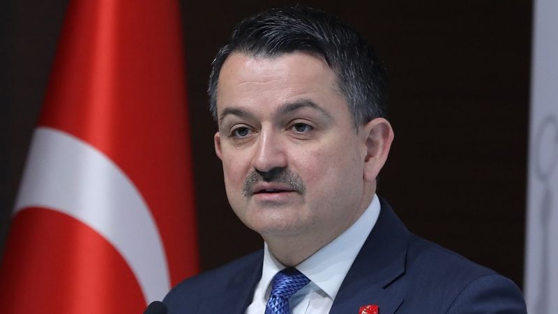 Bekir Pakdemirli: Milas ve Köyceğiz dışında tüm yangınlar kontrol altında