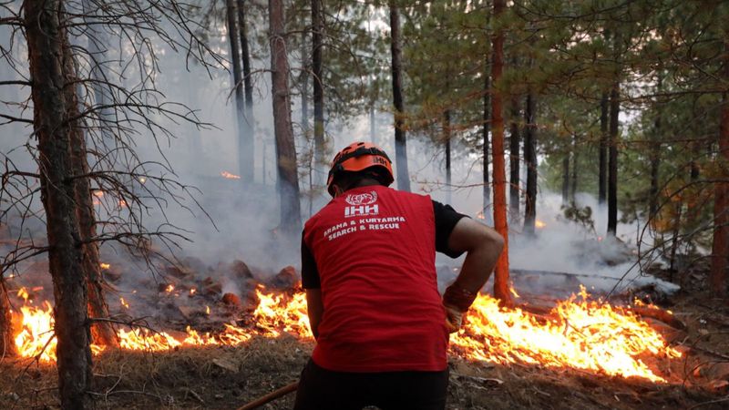Yangınlara su taşıyan İHH, şimdi de yaraları saracak