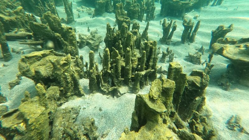 Van Gölü'nde 40 metre uzunluğunda mikrobiyalitler görüldü