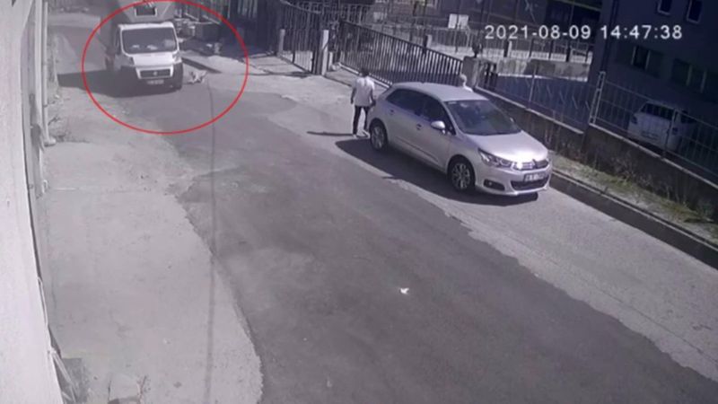 Esenyurt’ta kamyonetin köpeğe çarptığı anlar kamerada