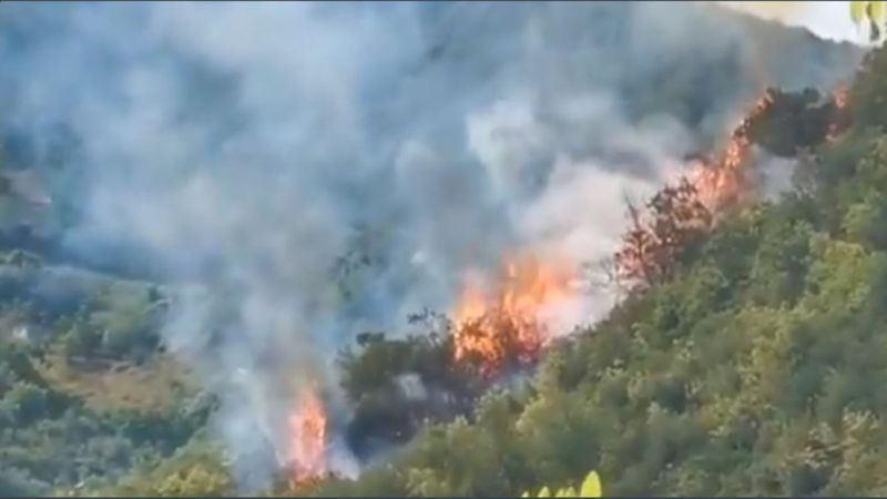 Sarıyer'de orman yangını