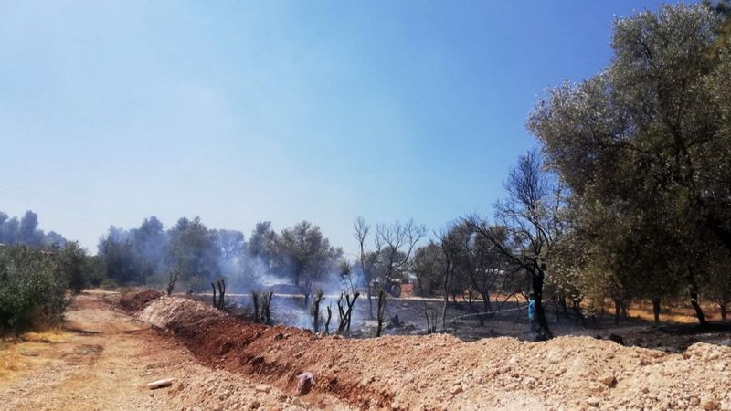 Seydikemer'de çıkan orman yangınında 1 hektar alan zarar gördü