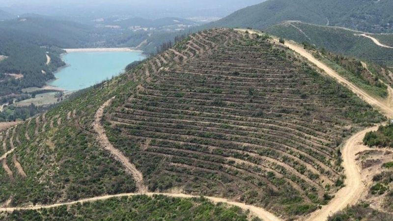 Adana'da 208 futbol sahası büyüklüğündeki alan, 5 ayda yeşillendirildi