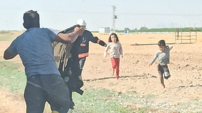 Şanlıurfa'daki aile, arıların saldırısına uğradı