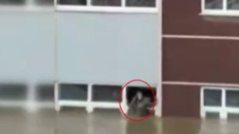 Kastamonu’da selde okul camında kurtarılmayı bekledi