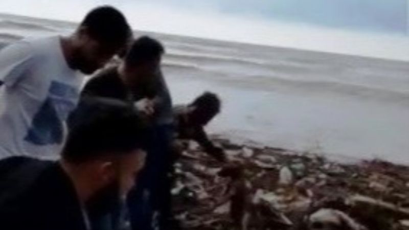 Sinop'ta selde mahsur kalan köpeği insan zinciri ile kurtardılar