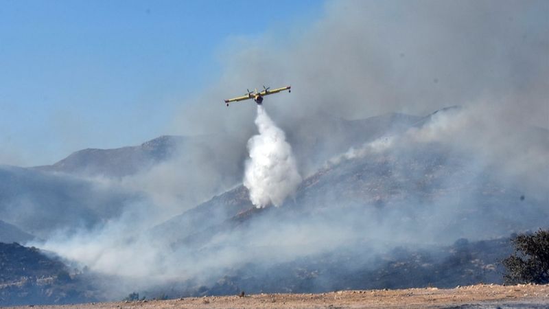 Bekir Pakdemirli: Tüm yangınlar kontrol altına alındı