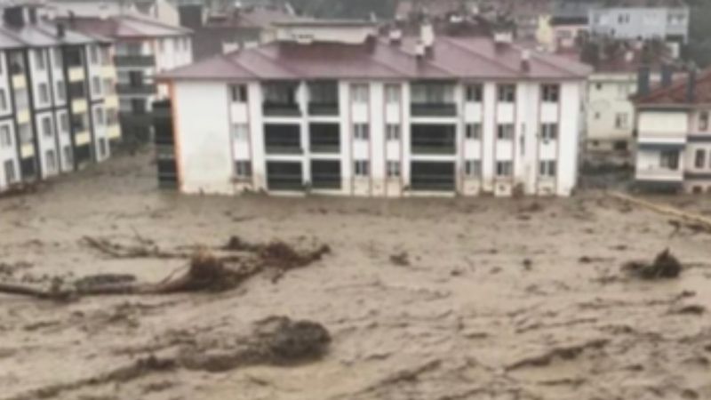 Kastamonu'da sel felaketinin boyutunu anlatan kare
