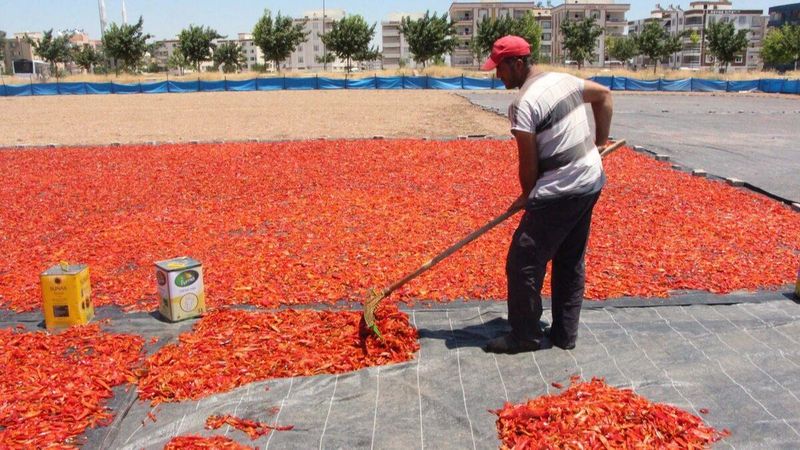 Şanlıurfa’da acı telaş