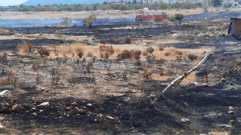 Mersin'de otluk alanda çıkan yangın kontrol altına alındı