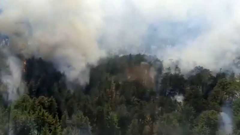 Antalya'da orman yangını