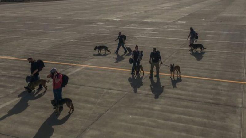 ABD, asker köpeklerini uçakla tahliye etti