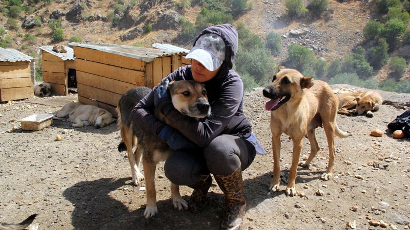Hakkari'deki öğretmen, köpekleri için tayinden vazgeçti
