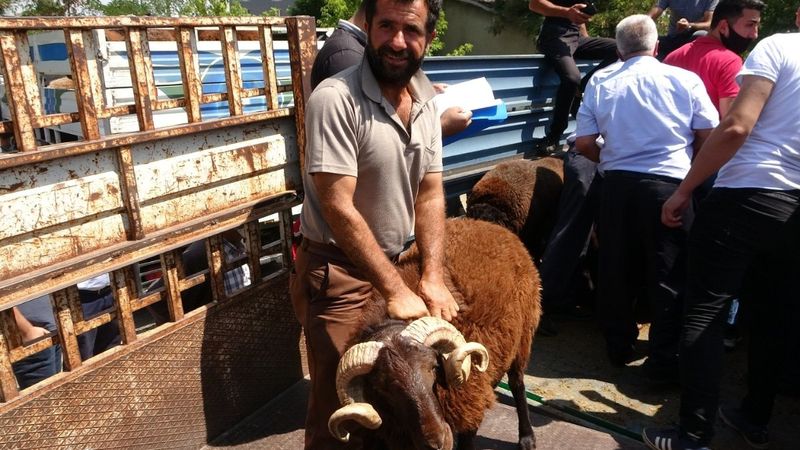 Muş’ta çiftçilere yarısı devlet destekli koç dağıtımı yapıldı