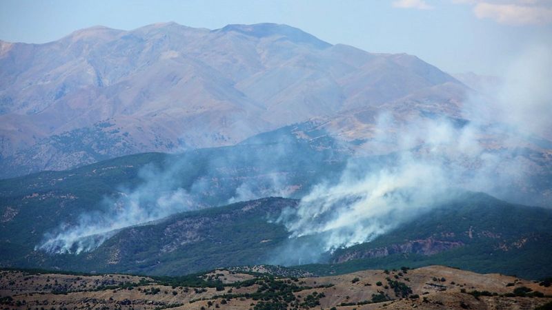 Tunceli'de ormanı ateşe veren PKK'lılara operasyon
