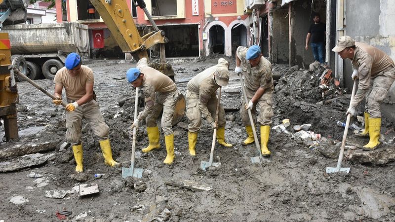 Mavi Bereliler, Bozkurt'ta yaraları sarmak için harekete geçti