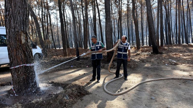 Marmaris'te polis, yanan ormanı yeşertmek için çalışıyor