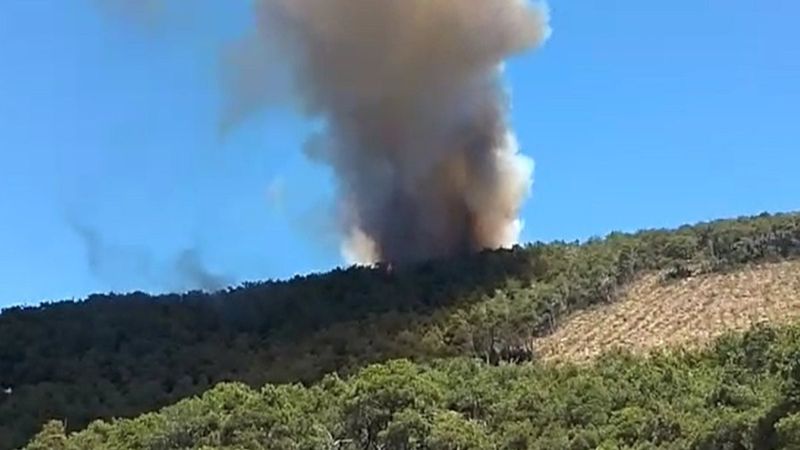 Adalar Belediye Başkanı Erdem Gül: Yangının yerleşim yerlerine sıçrama riski yok
