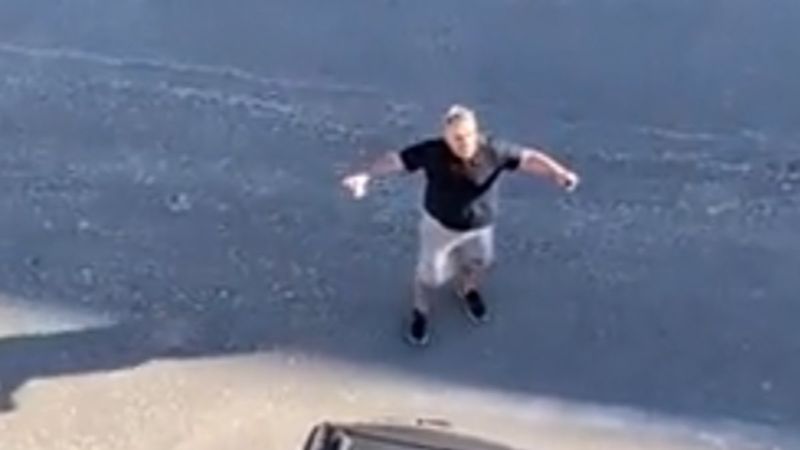 Hayvanseverin isyanı: Şu kadar yeri çok görmeyeceksiniz bu hayvanlara