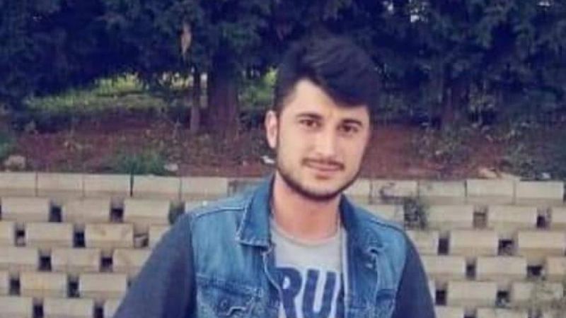 İstanbul'da denizde saldıran pitbull öldürdü iddiası