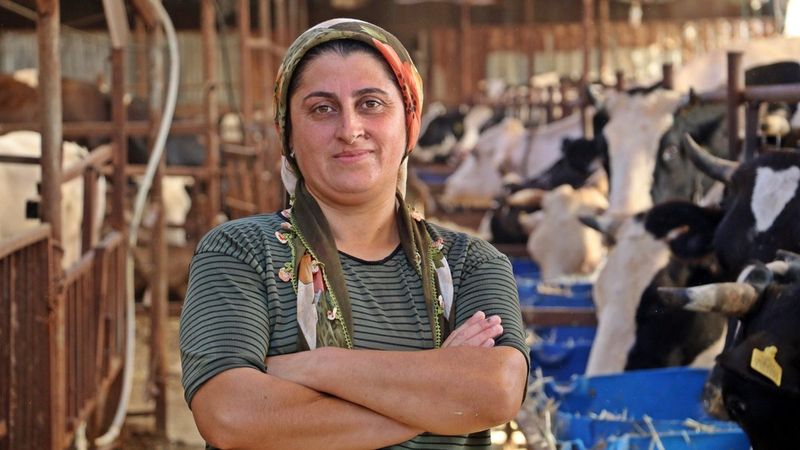 Antalya'da emekleriyle aldığı atını çaldıran kadın, hırsızlıktan şikayetçi