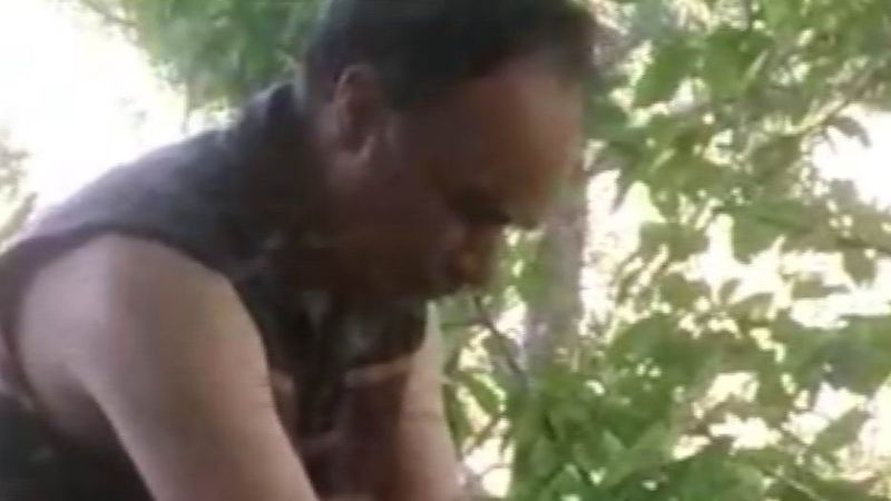 Kayseri'de korkusuz arıcı görenleri şaşırtıyor