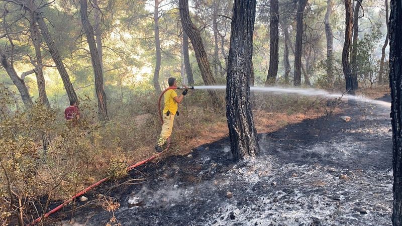 Muğla'daki yangın kontrol altına alındı