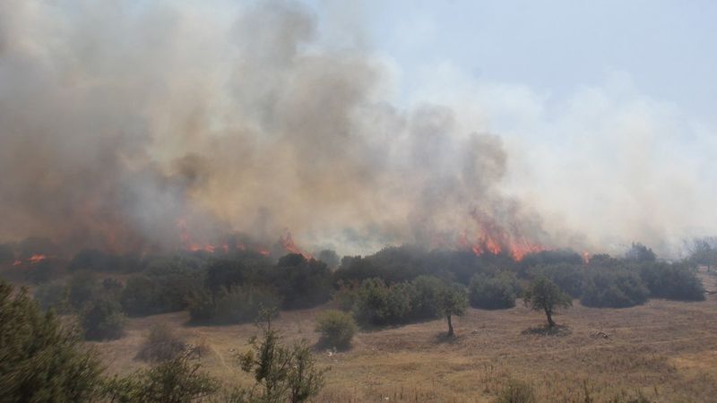 Manisa'daki orman yangını kontrol altına alındı