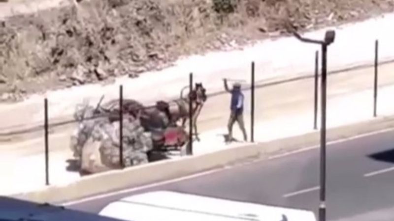 Silivri'de yük taşıyamayan at, sopayla dövüldü