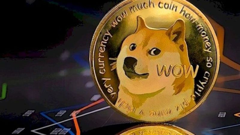 Dogecoin'den 1 milyar liralık vurgun