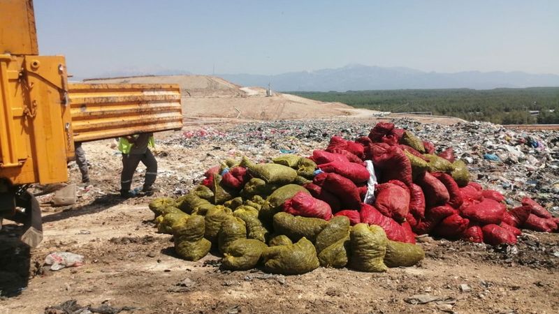 Antalya’da kaçak midyecilere suçüstü