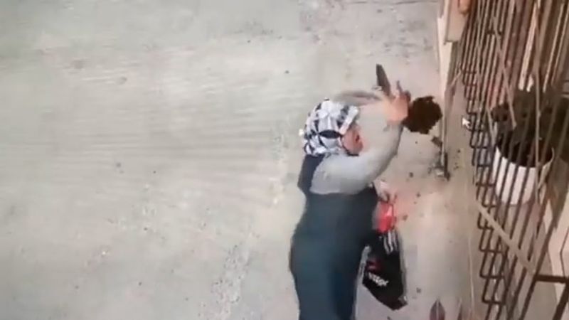 Bursa'da camdaki çiçeği çalan kadın kamerada