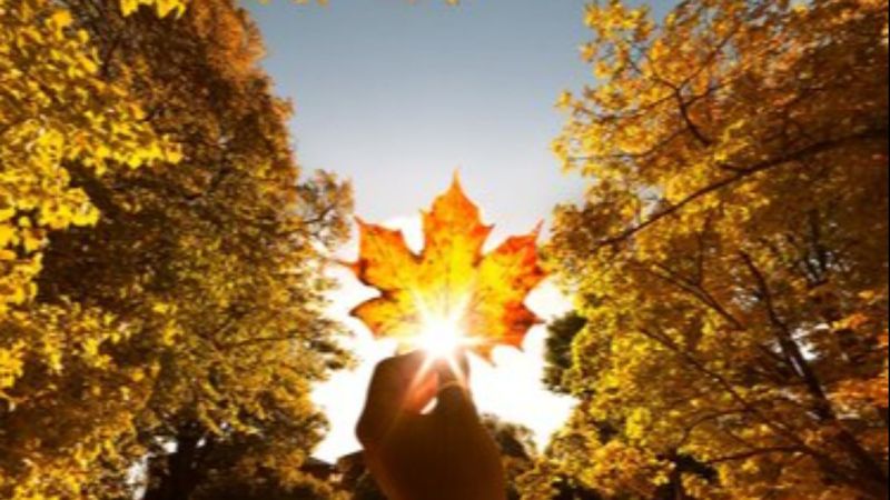 Yeni bir başlangıç hissi veren Eylül ayına dair bilmedikleriniz